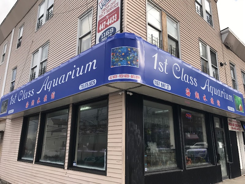 1st Class Aquarium