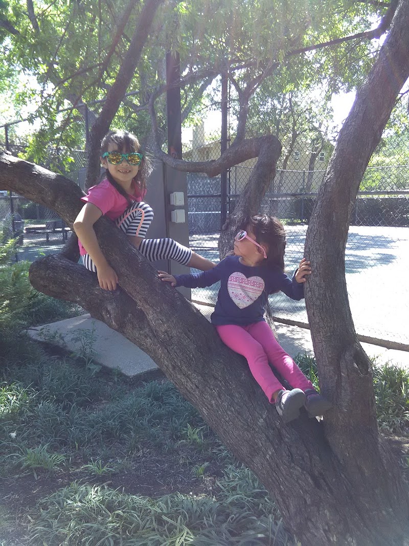 Abbott Park-highland park - Photo 10