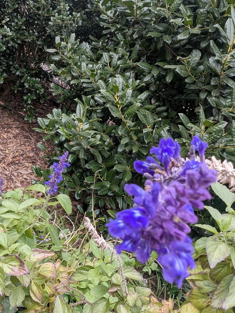 Abbott Park-highland park - Photo 7