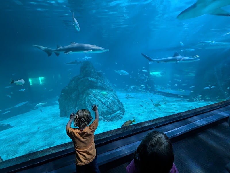 Adventure Aquarium