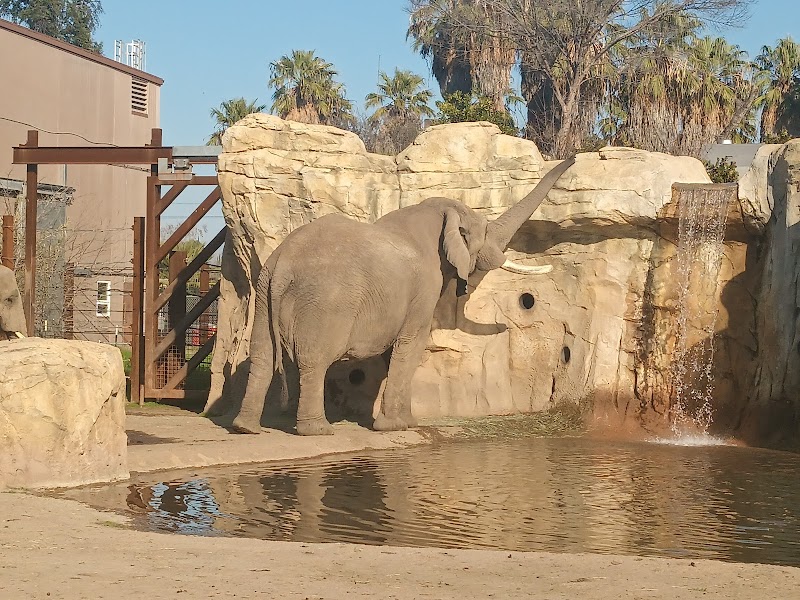 African Adventures