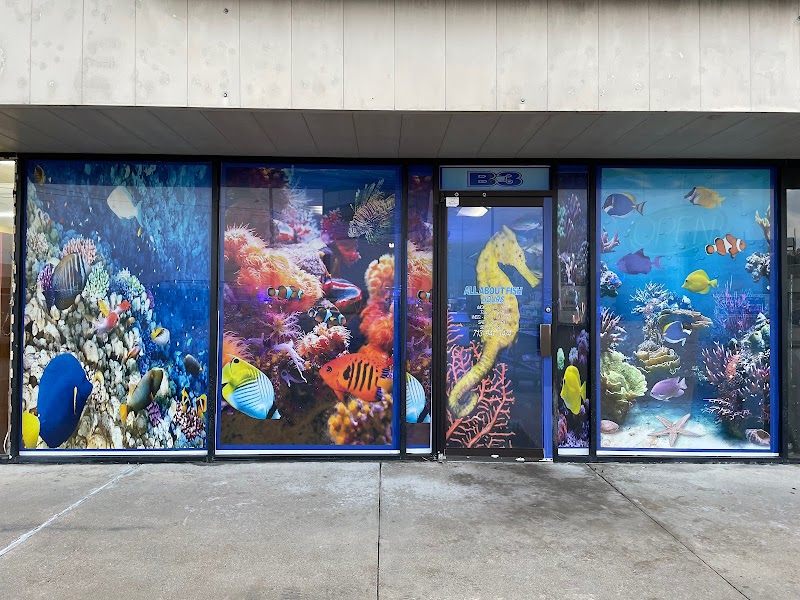 All About Fish
