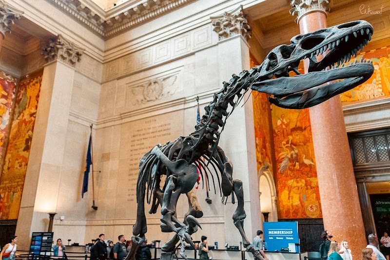 American Museum of Natural History