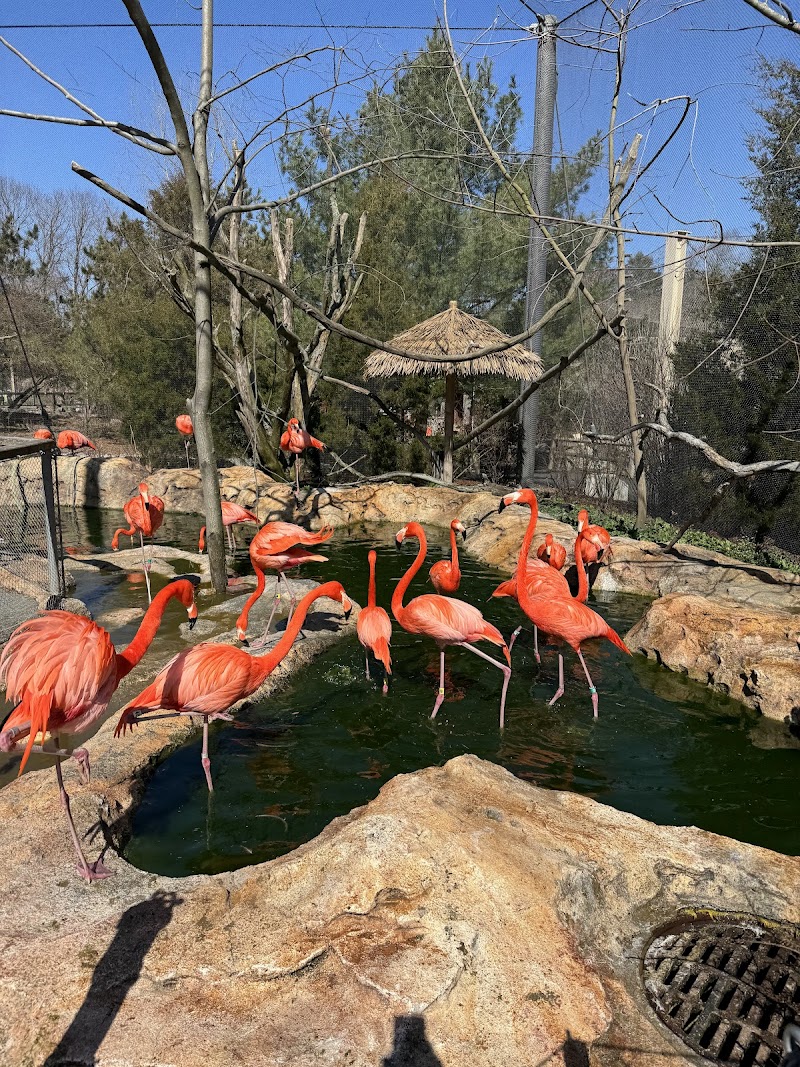 Animal Discovery Center