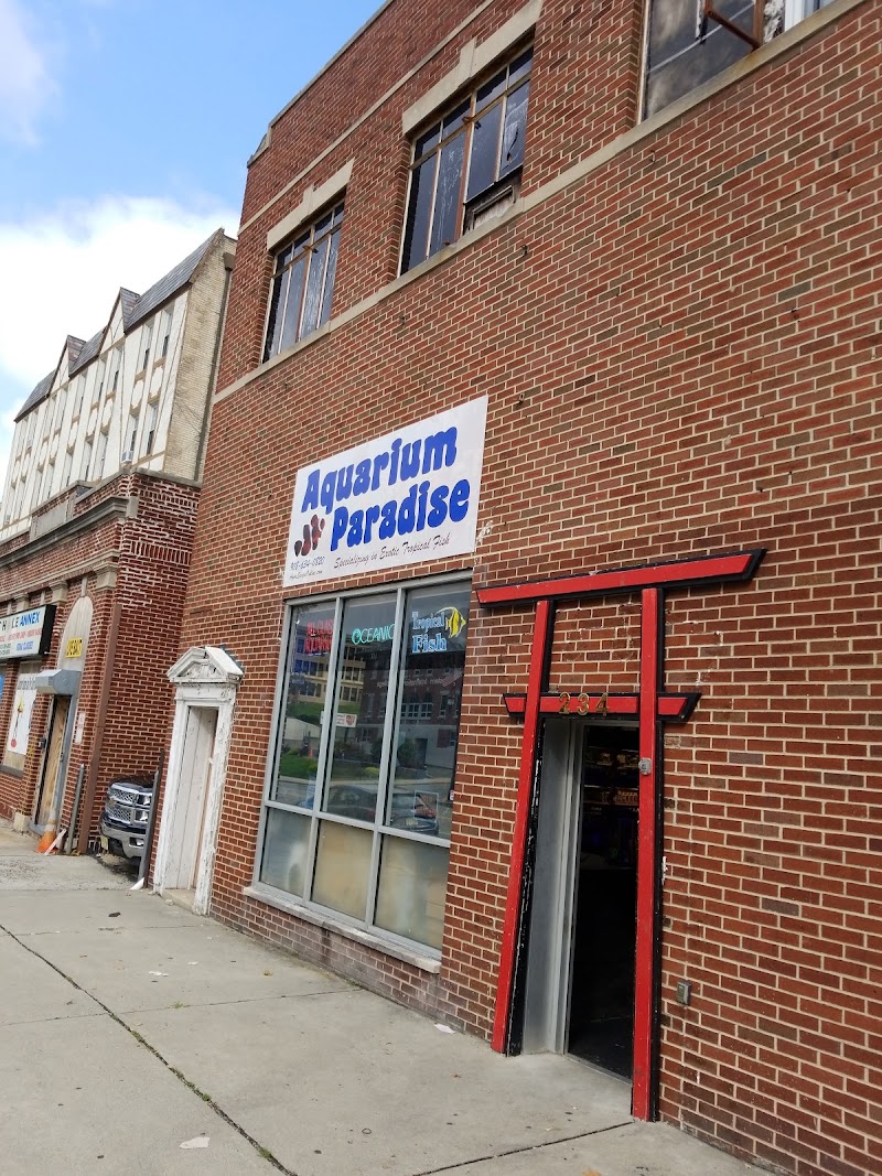 Aquarium Paradise