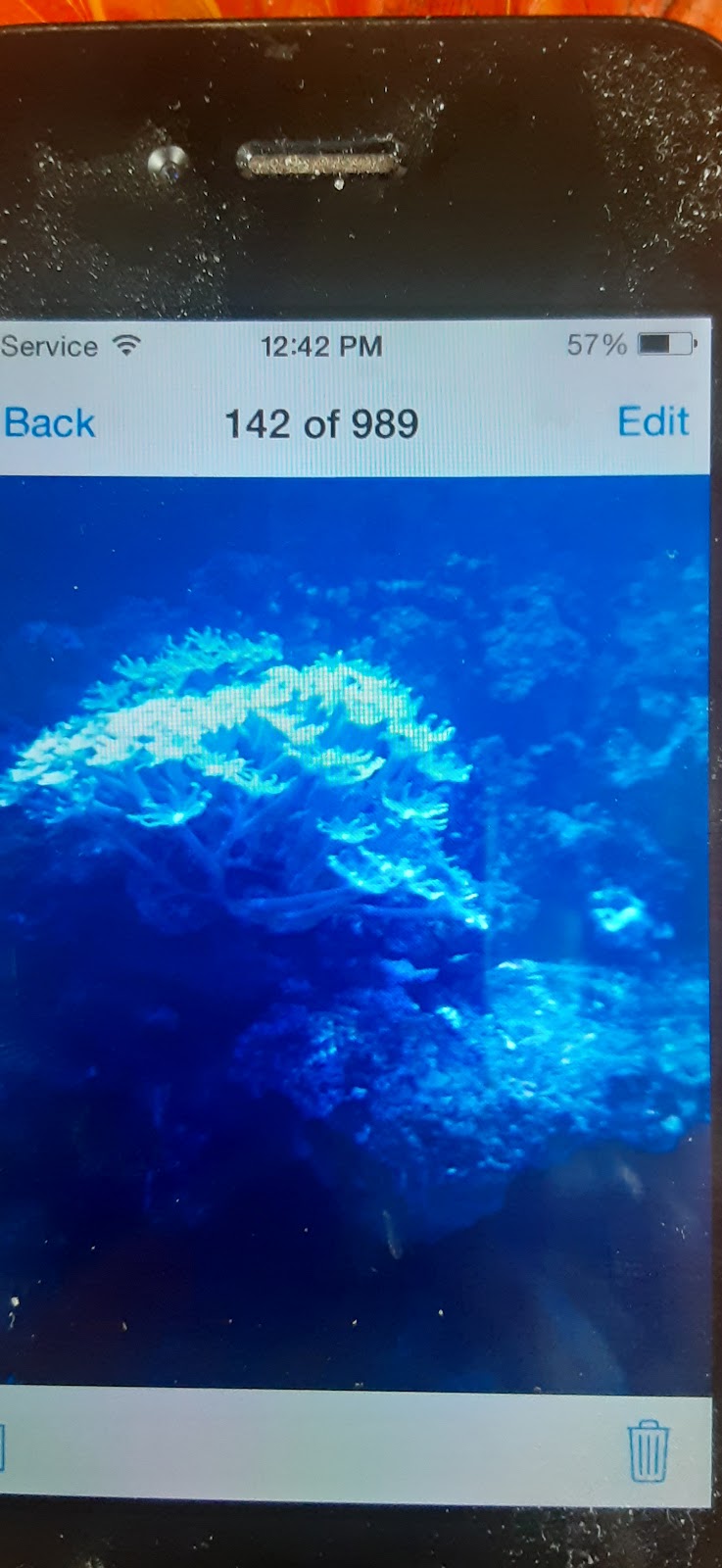 Aquariumservicenyc.com