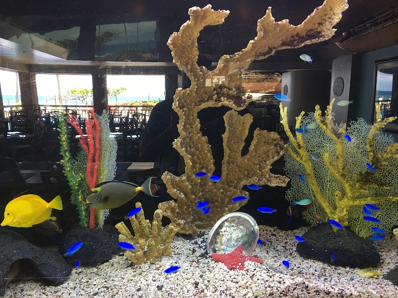 Aquatic Experts