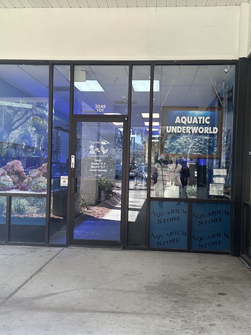 Aquatic Underworld