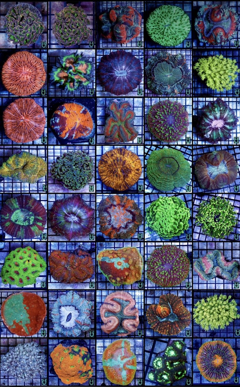 Aquavida365