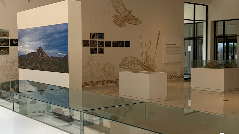 Archaeology and History Museum of El Chamizal