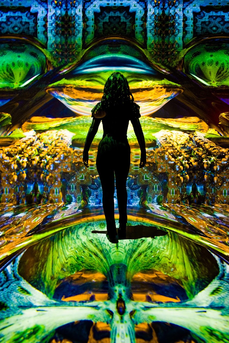 ARTECHOUSE Houston