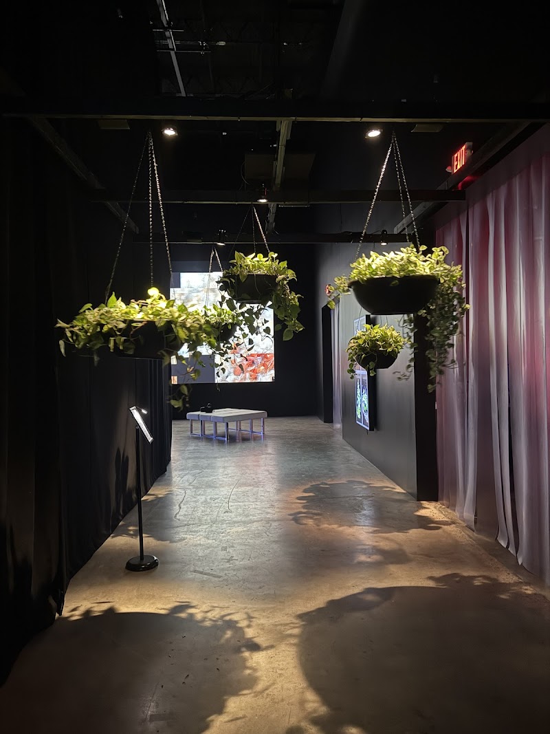 ARTECHOUSE Houston - Photo 10