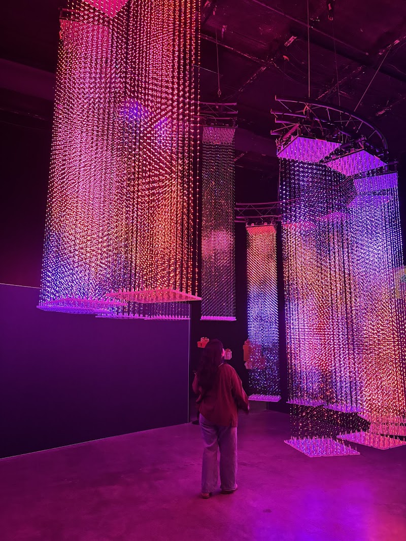ARTECHOUSE Houston - Photo 3