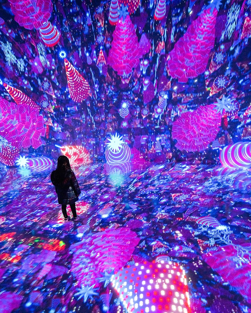 ARTECHOUSE Houston - Photo 6