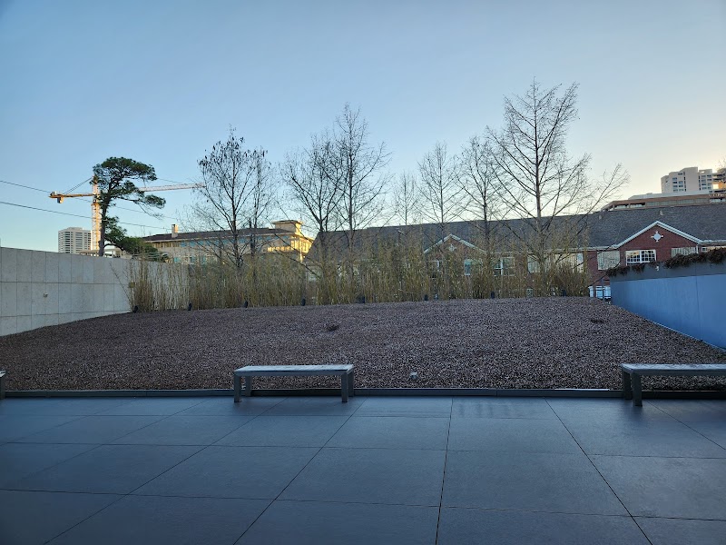 Asia Society Texas Center - Photo 6