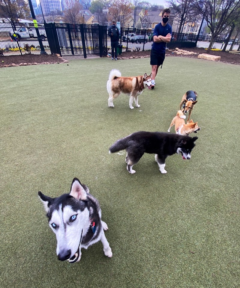 Atlantic Station Dog Park