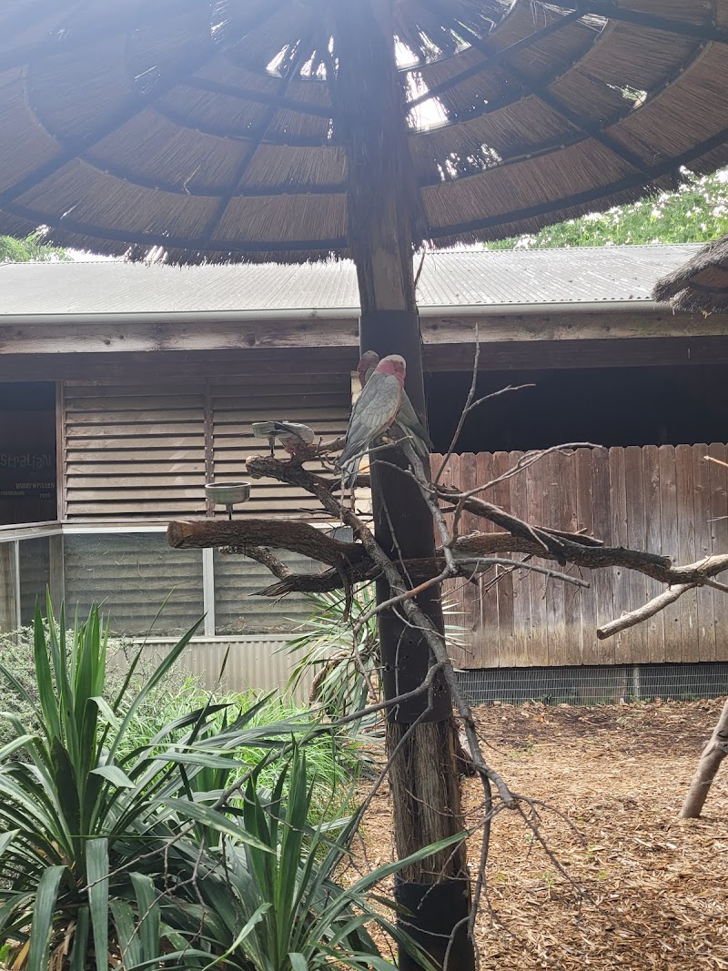 Australian Outback