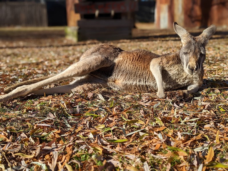 Australian Outback Adventure