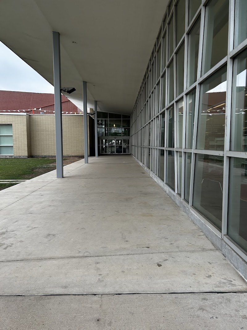 Bachman Lake Branch Library - Photo 3