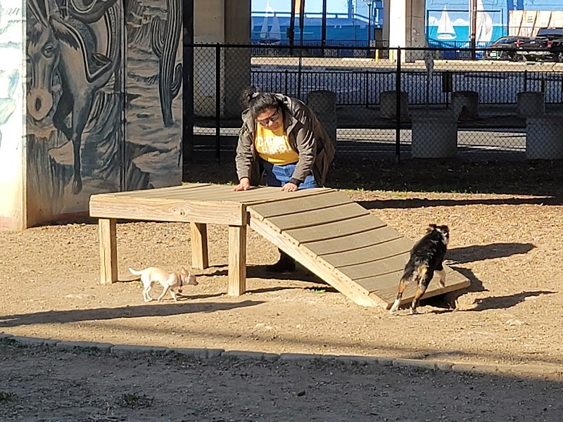 Bark Park Central - Photo 6