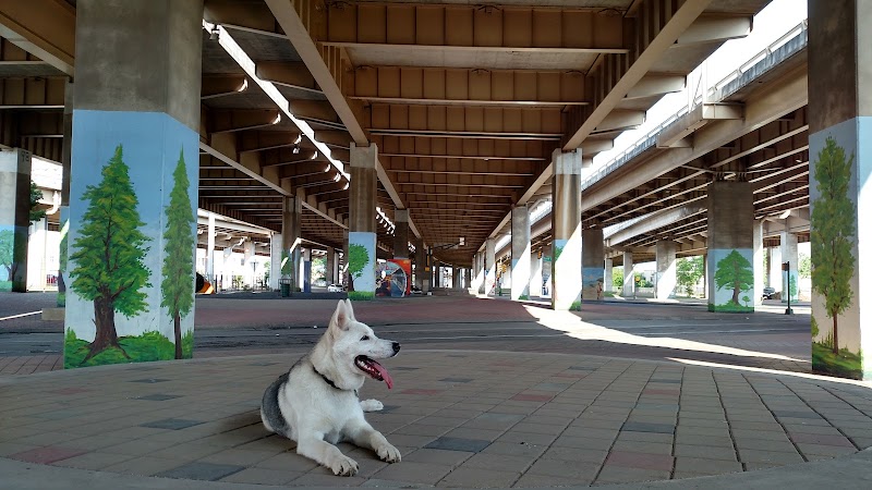 Bark Park Central - Photo 7
