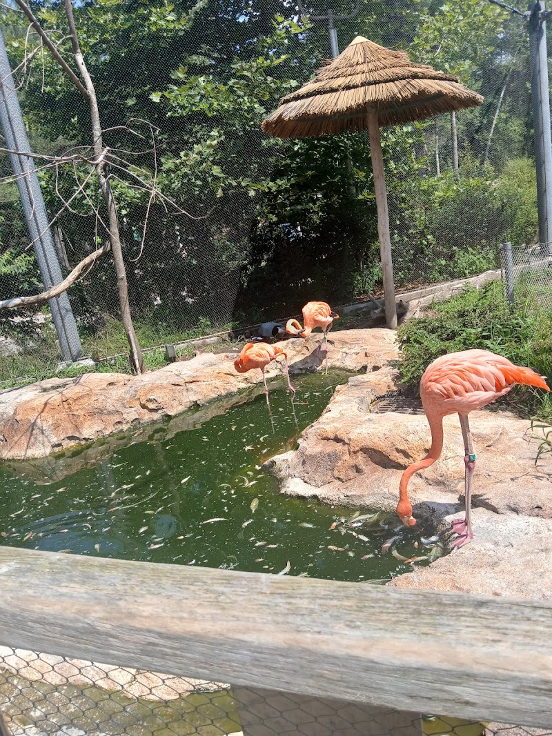 Barnyard