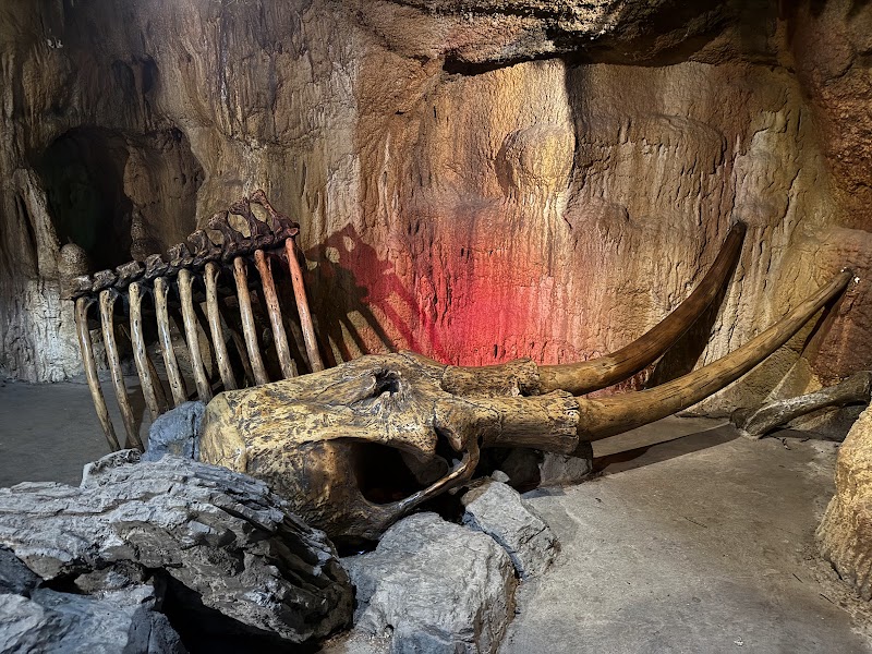 Bat Cave Exhibit