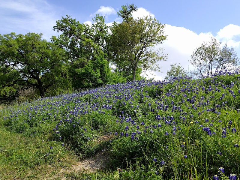 Bayou Parkland - Photo 9