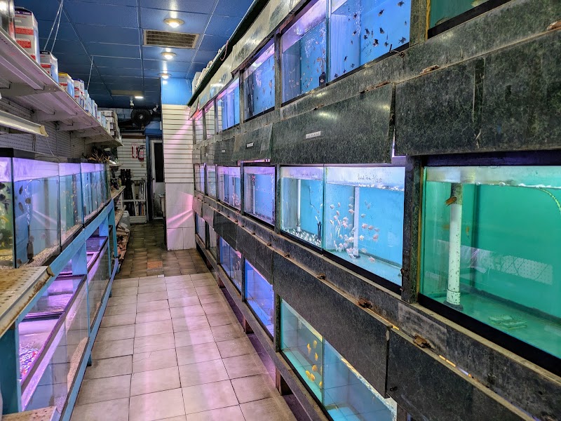 Bayparkway Aquarium