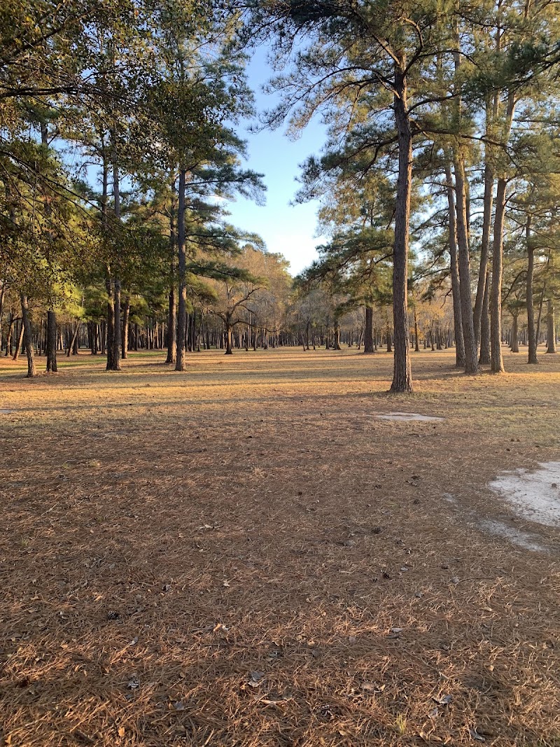 Bear Creek Playground - Photo 2