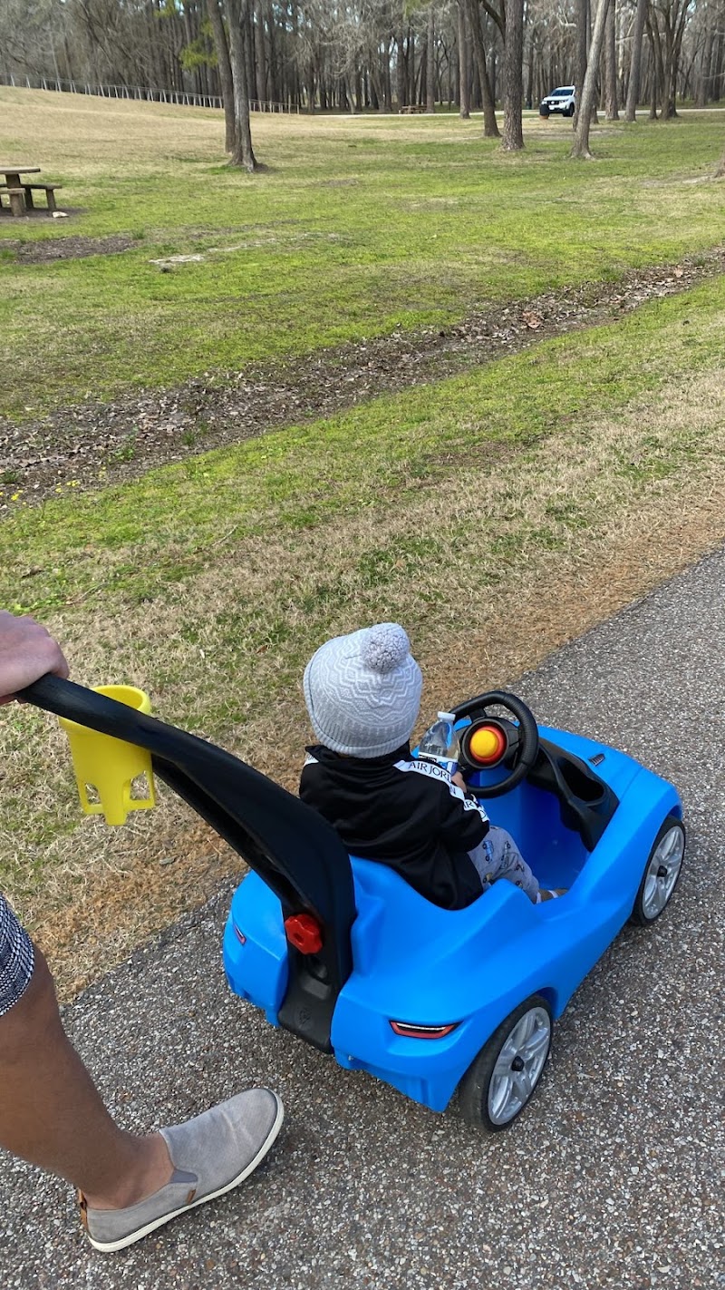 Bear Creek Playground - Photo 9