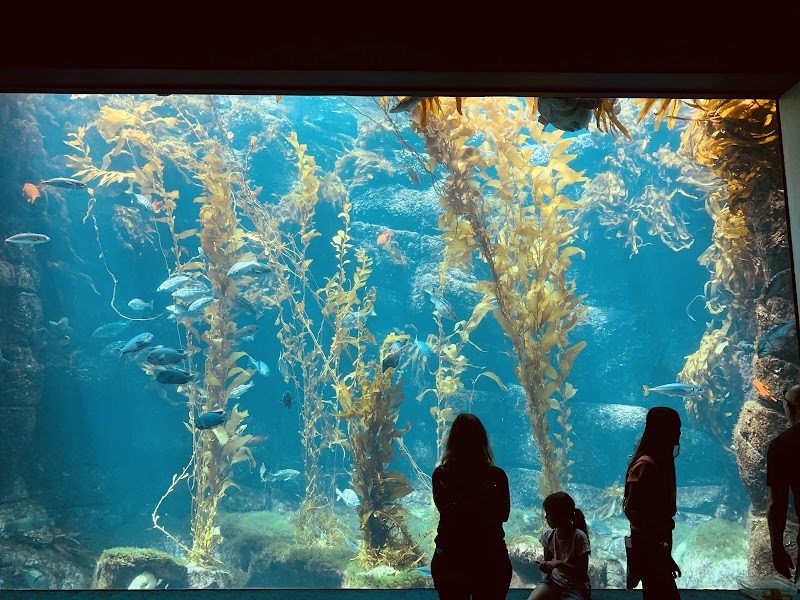 Birch Aquarium