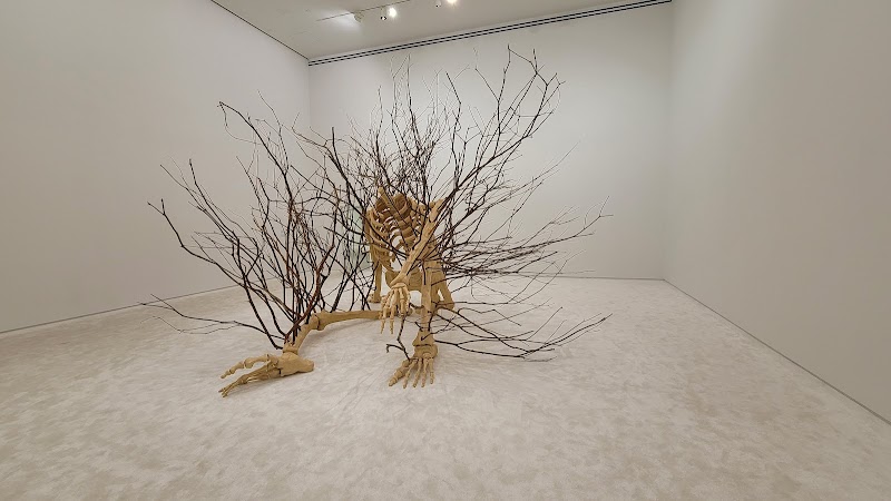 Blaffer Art Museum - Photo 3