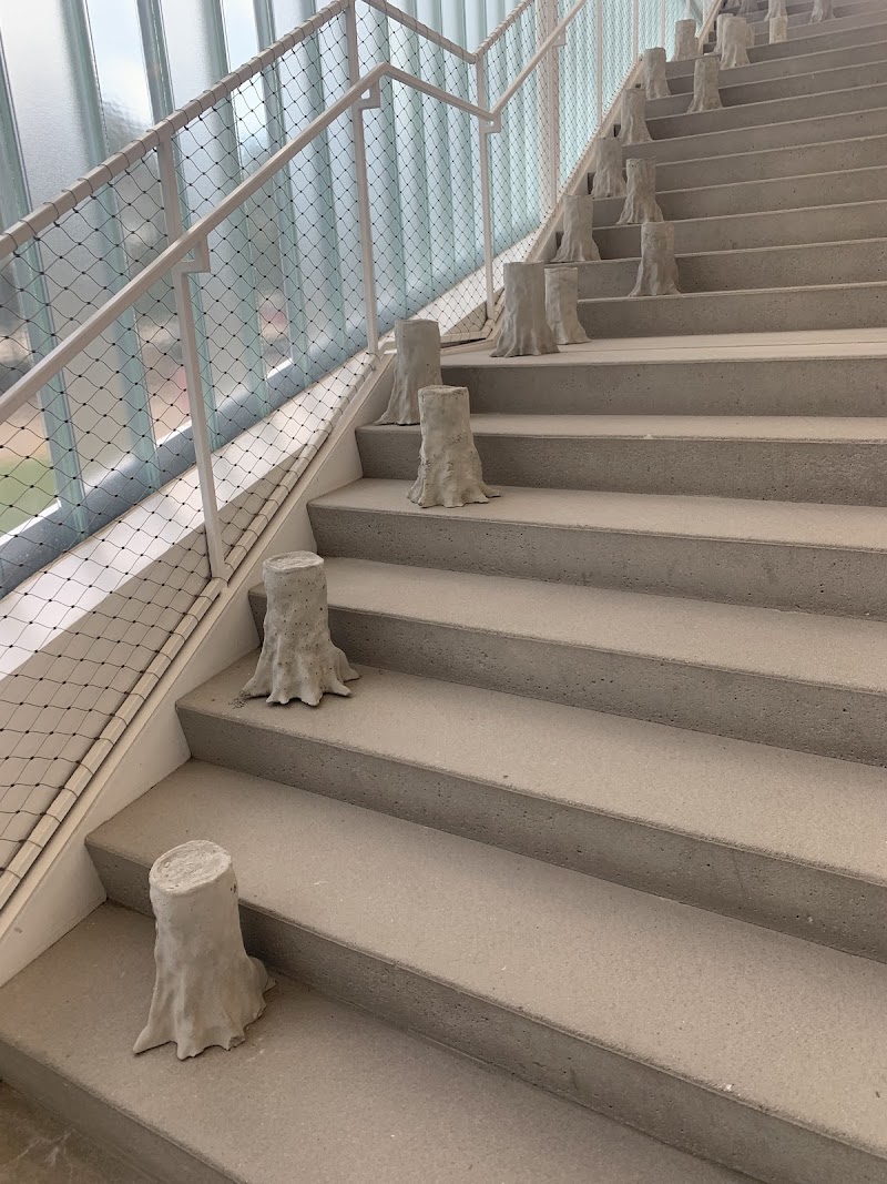 Blaffer Art Museum - Photo 7