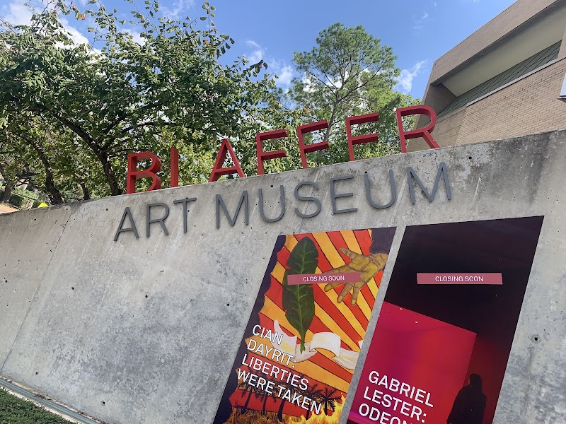 Blaffer Art Museum - Photo 8