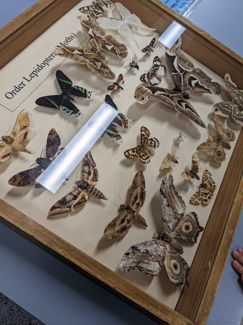 Bohart Museum of Entomology