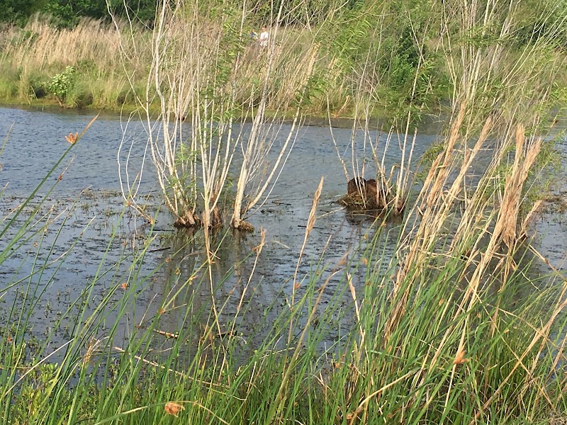 Buffalo Bend Nature Park - Photo 6