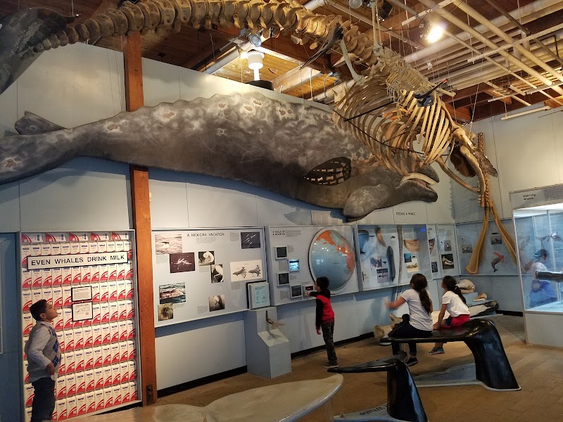 Cabrillo Marine Aquarium