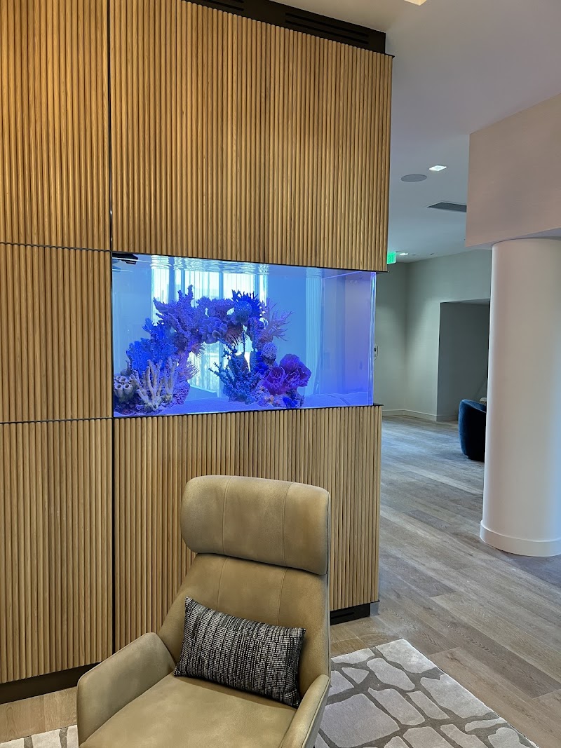 California Custom Aquariums