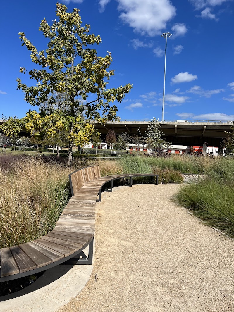 Carpenter Park - Photo 8