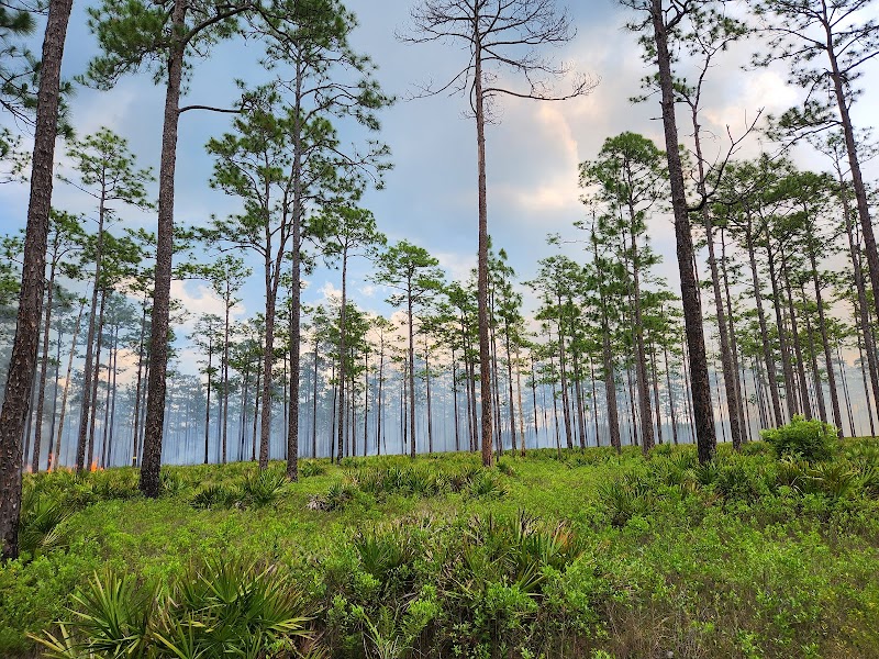Cary Wildlife Management Area