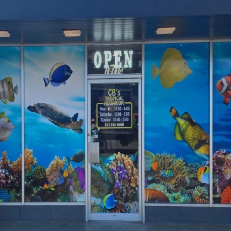 CB'S Tropical Aquarium