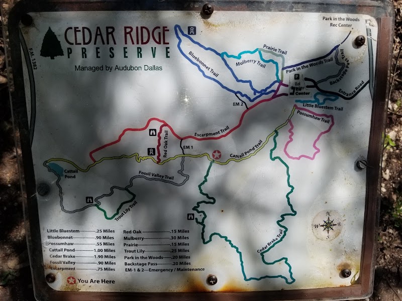 Cedar Ridge Preserve - Photo 10