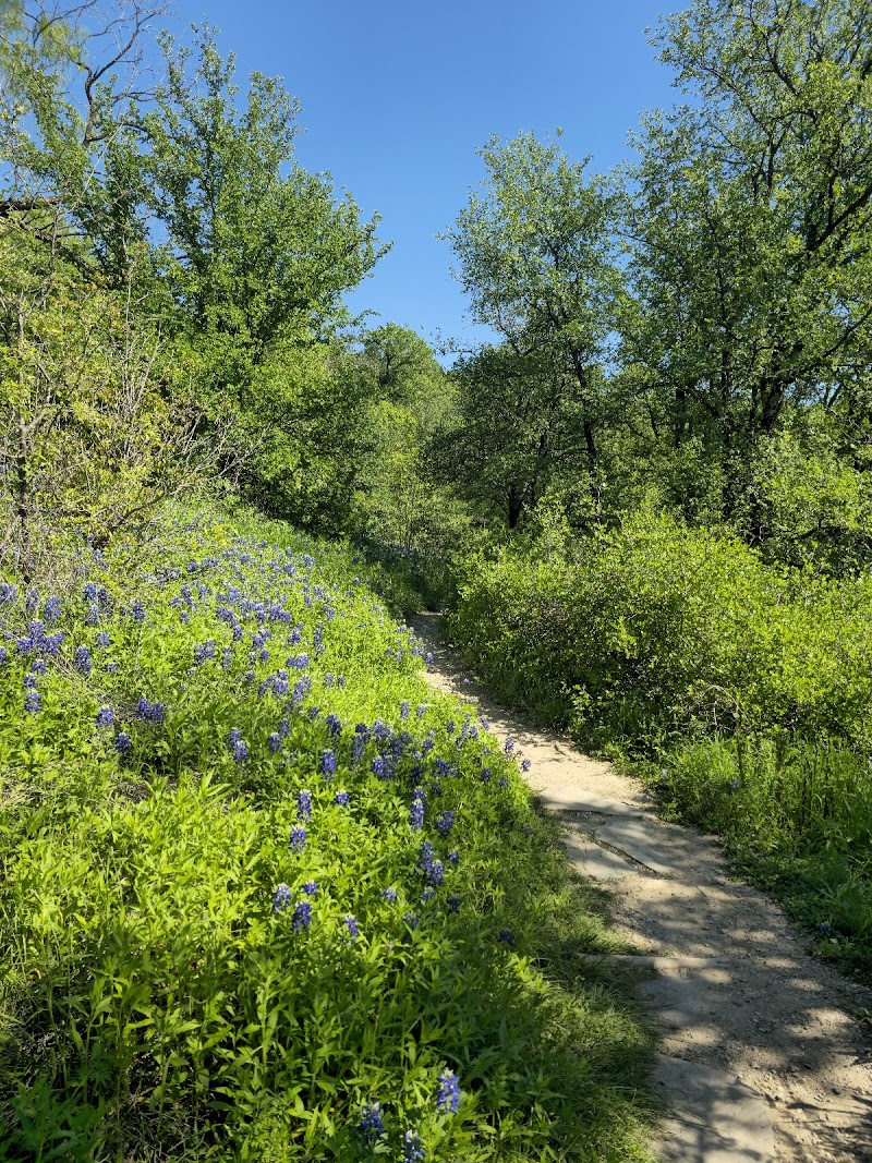 Cedar Ridge Preserve - Photo 4