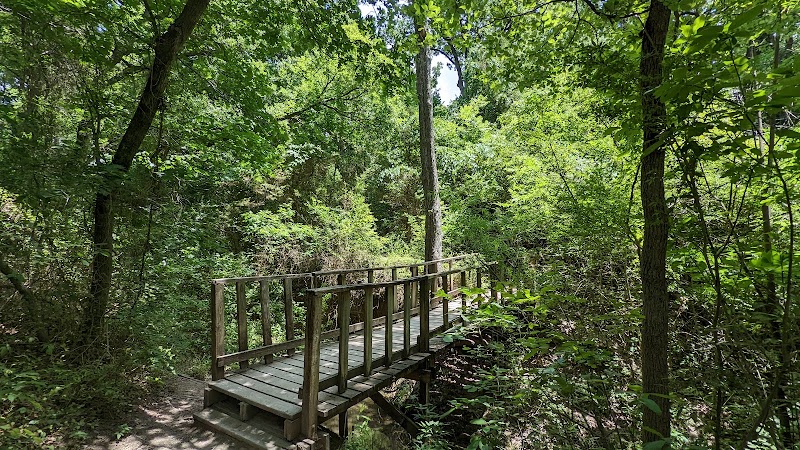 Cedar Ridge Preserve - Photo 5