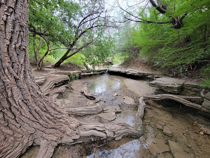 Cedar Ridge Preserve - Photo 8