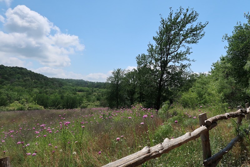 Cedar Ridge Preserve - Photo 9