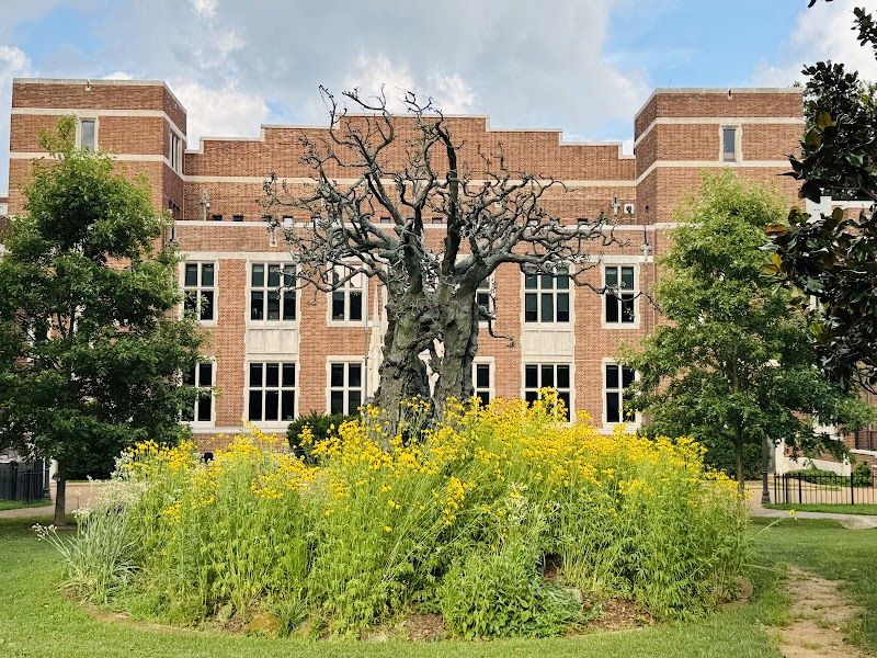 Central Library