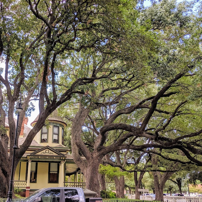 Central Square Park - Photo 2