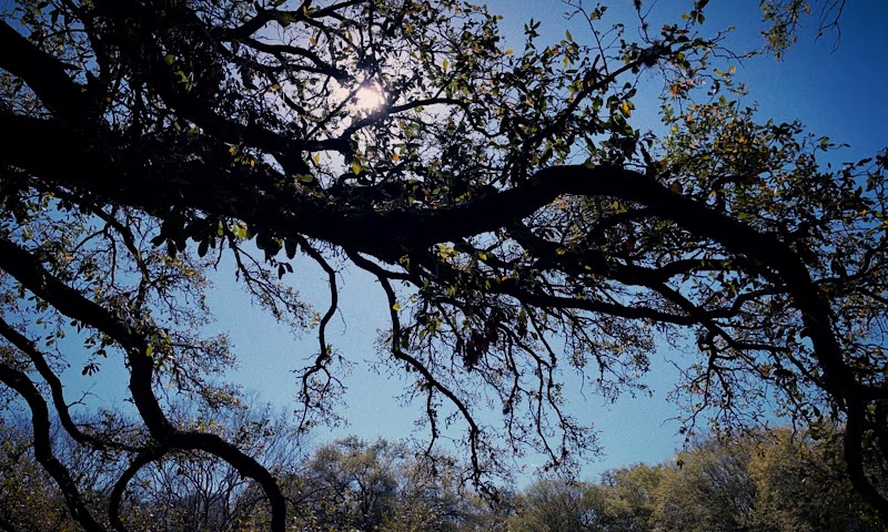 Cherryhurst Park - Photo 10